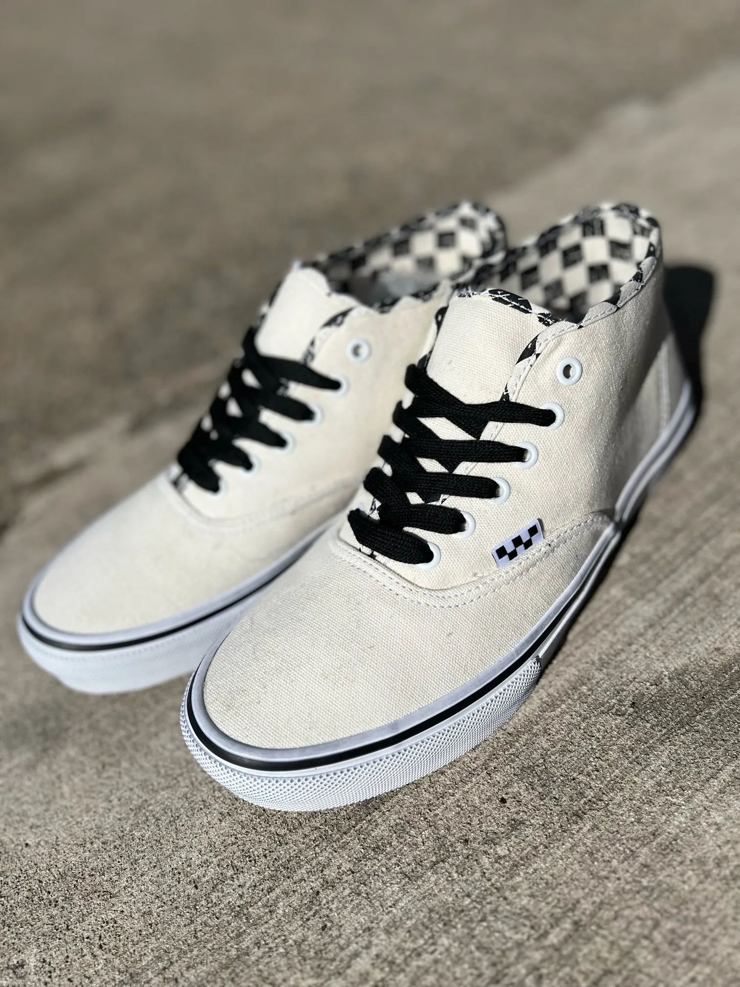 Vans Skate Authentic Mid x Monster Children